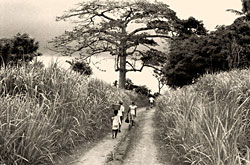 market_day_manjama_2